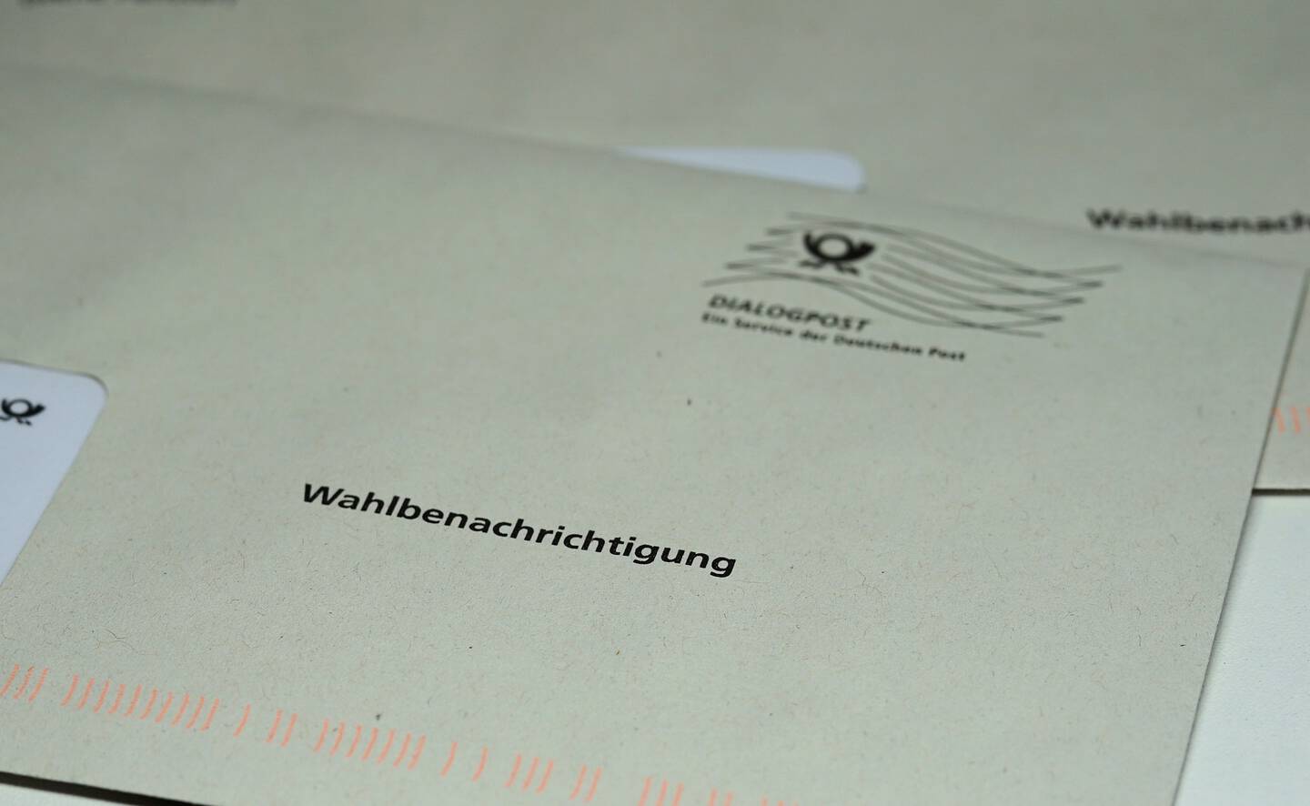 75 Kandidat:innen treten bei Seniorenbeiratswahl an - Lüneburg Aktuell